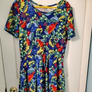 Lularoe Amelia